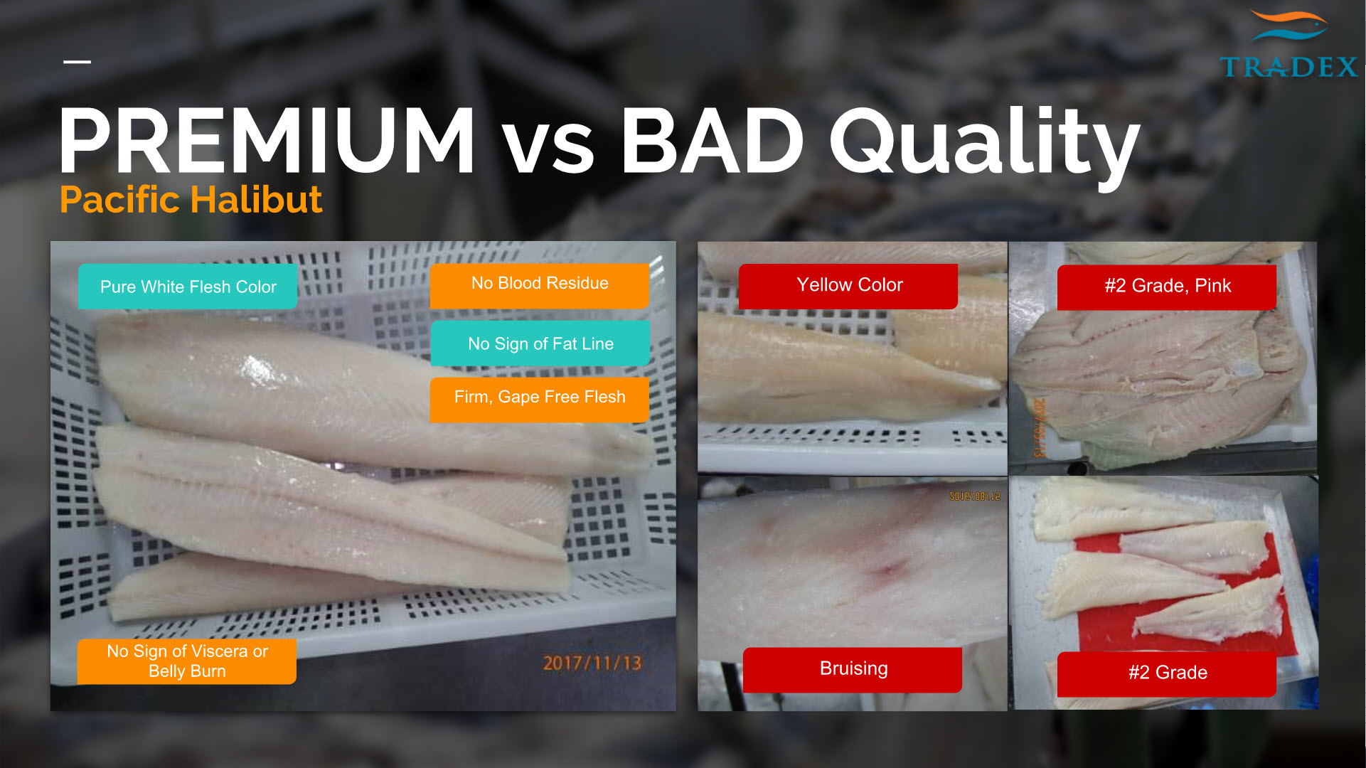Seafood Healthy, Seafood Safety - School of Fish - Tradex Foods Inc